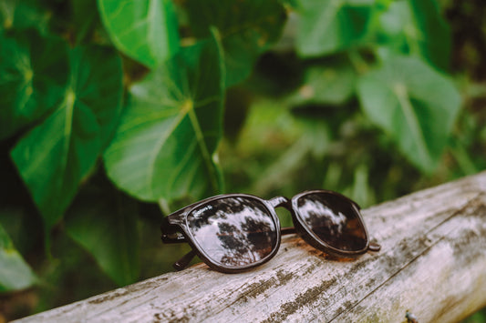 SAGE